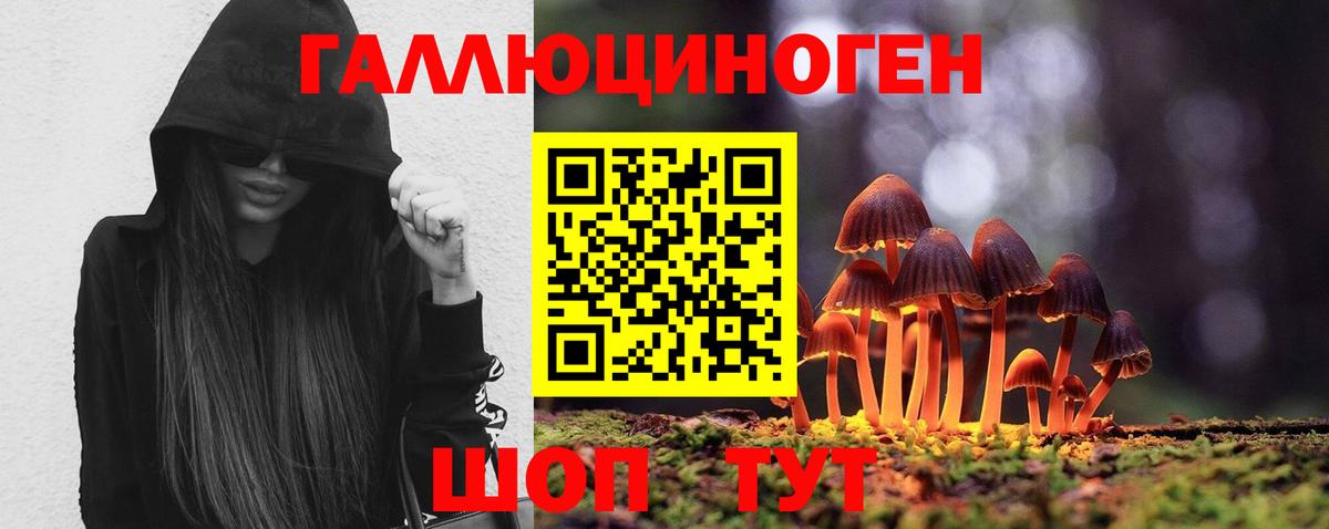 Псилоцибиновые грибы Psilocybe  Галлюциногенные грибы Psilocybe  Дедовск  Вход с VPN 